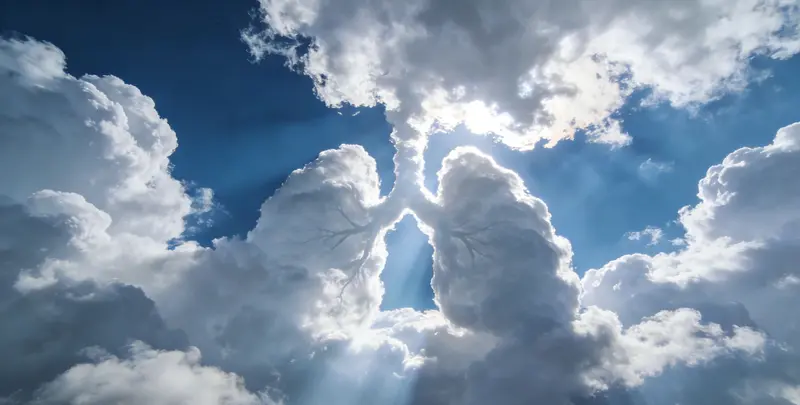 潮州肺癌靶向39基因检测及PDL122C3表达检测套餐（组织）图片1