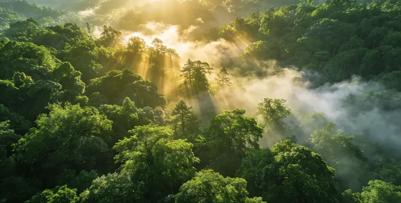 潮州肺癌172基因检测图片1
